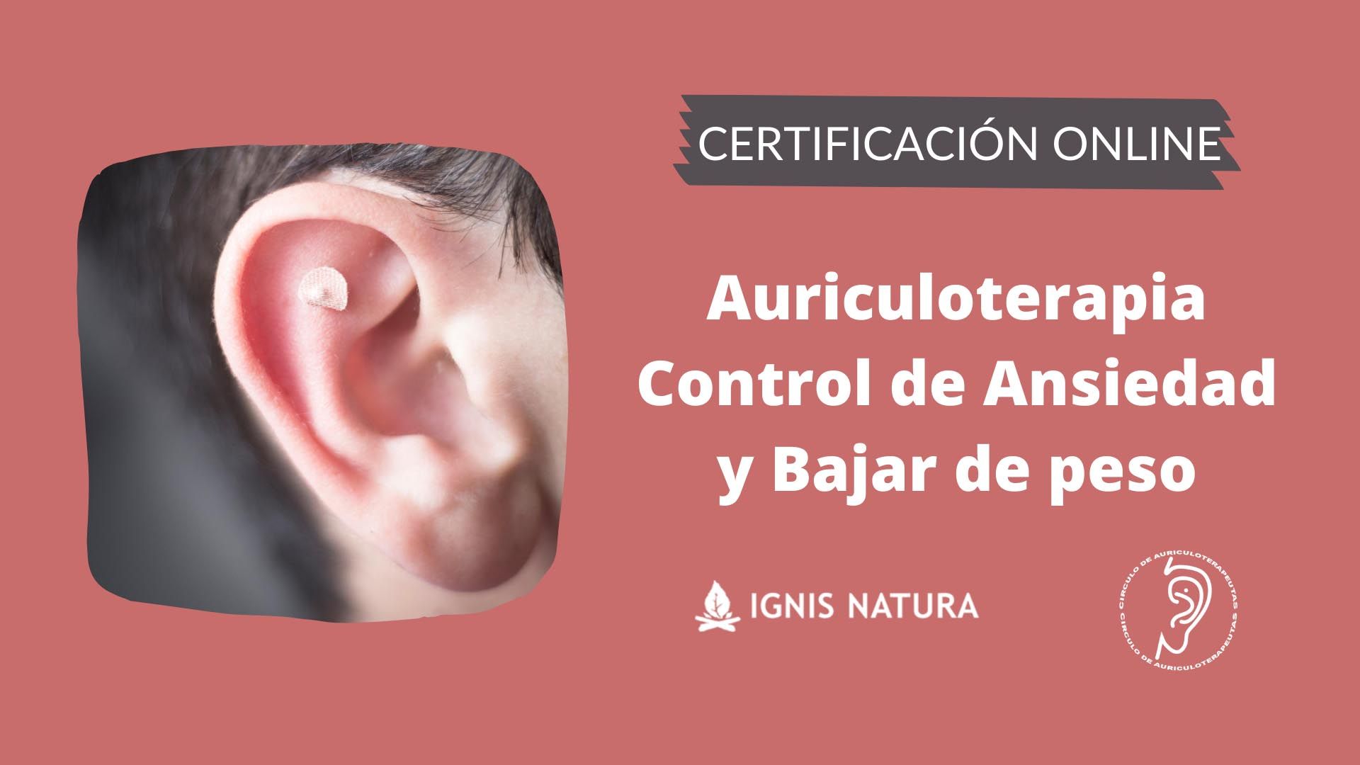 Curso de Auriculoterapia para Controlar la Ansiedad y Bajar de Peso Curso de Auriculoterapia para Controlar la Ansiedad y Bajar de Peso
